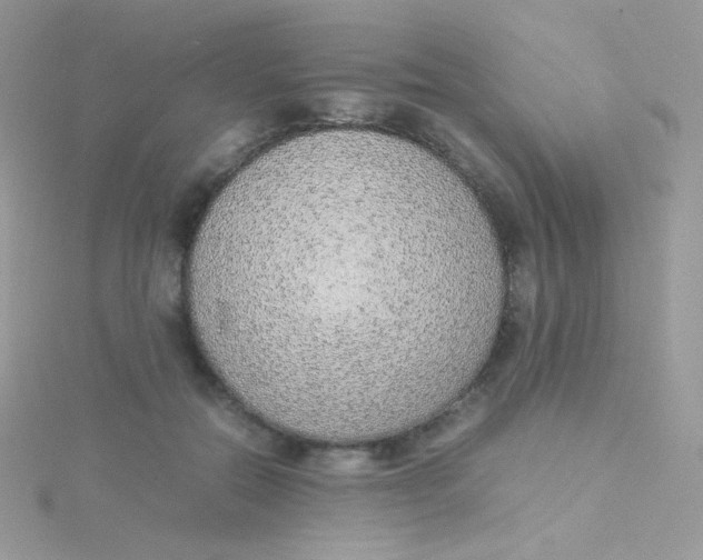 X0000115500554200911271412