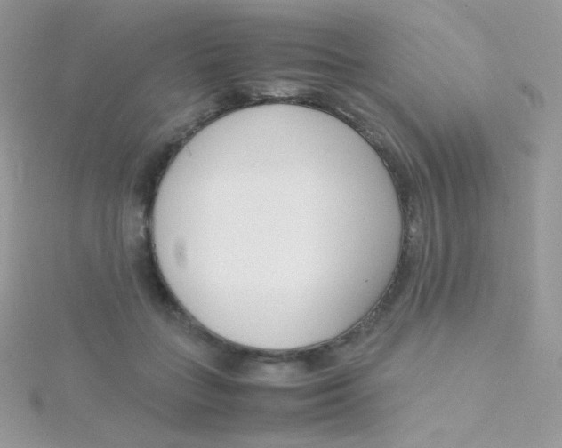 X0000115500555200911271412