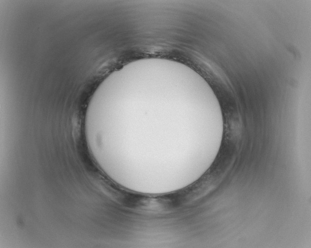 X0000115500558200911271412