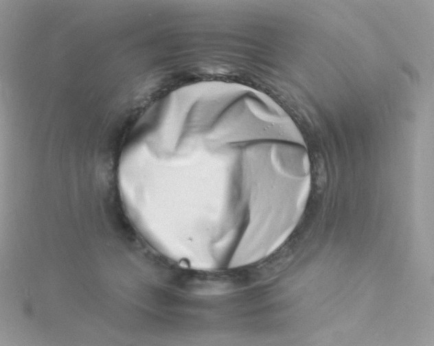 X0000115500559200911271412