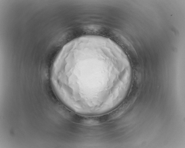 X0000115500561200911271412