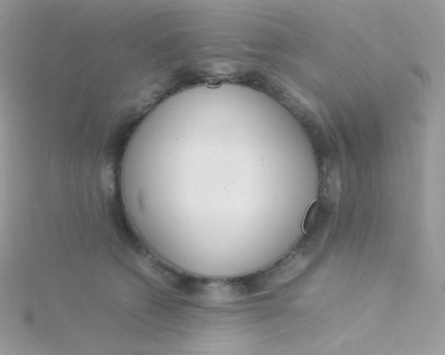 X0000115500562200911271412