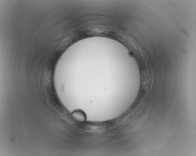 X0000115500563200911271412