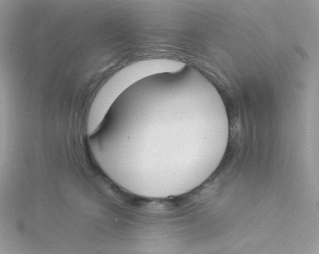 X0000115500566200911271412