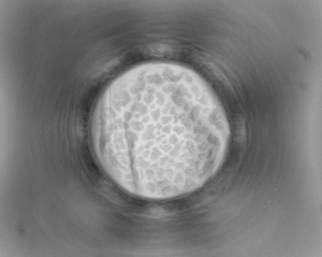 X0000115500569200911271412