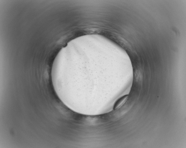 X0000115500570200911271412