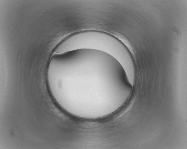 X0000115500577200911271412