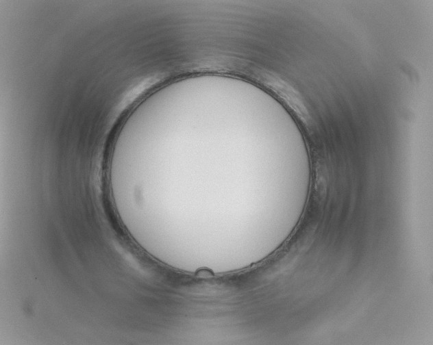 X0000115500578200911271412