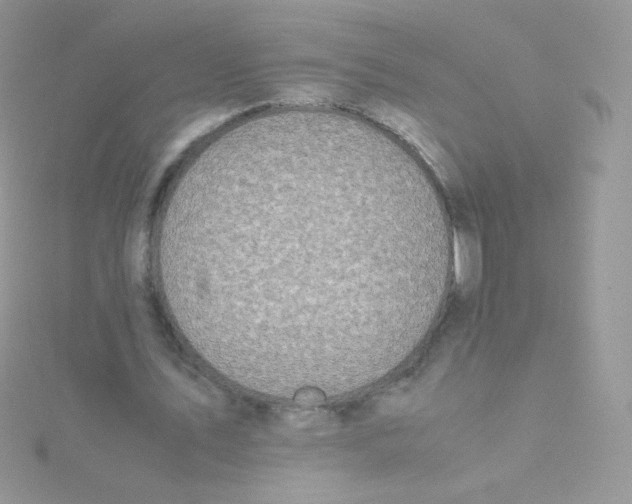 X0000115500579200911271412