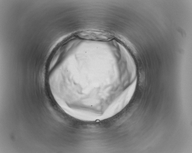 X0000115500580200911271412