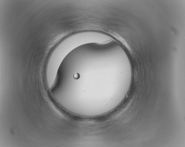 X0000115500581200911271412