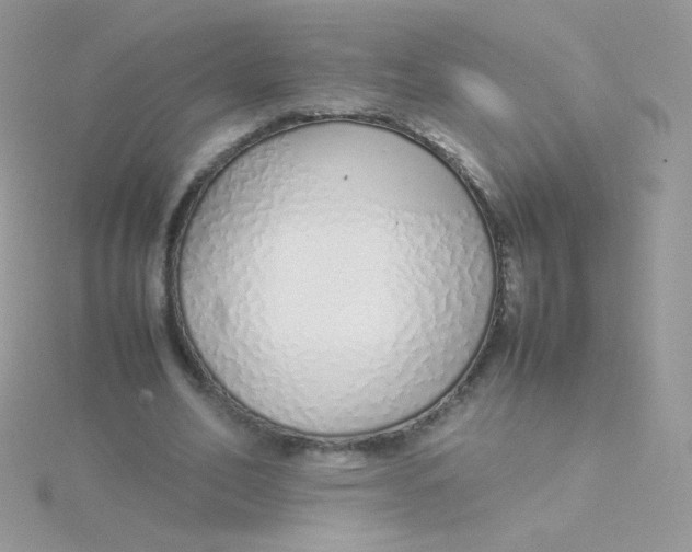 X0000115500582200911271412