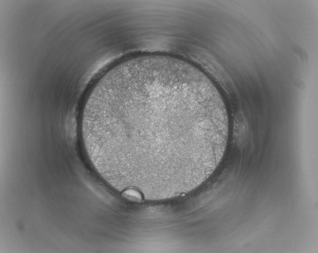 X0000115500584200911271412