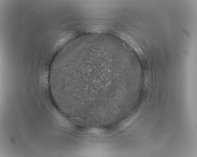 X0000115500585200911271412