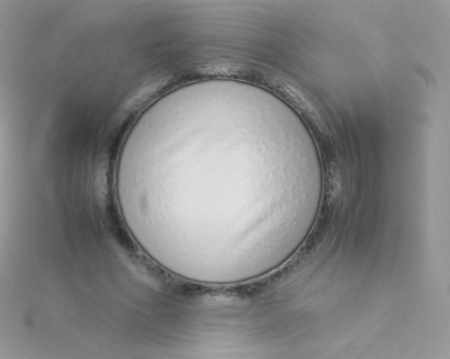 X0000115500586200911271412