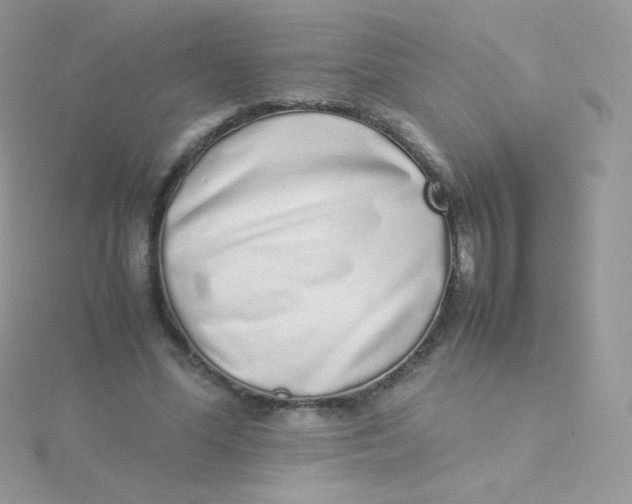 X0000115500588200911271412