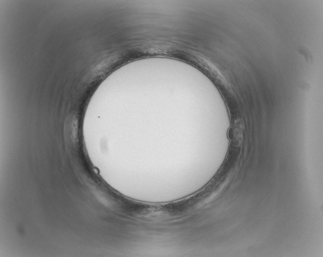 X0000115500589200911271412