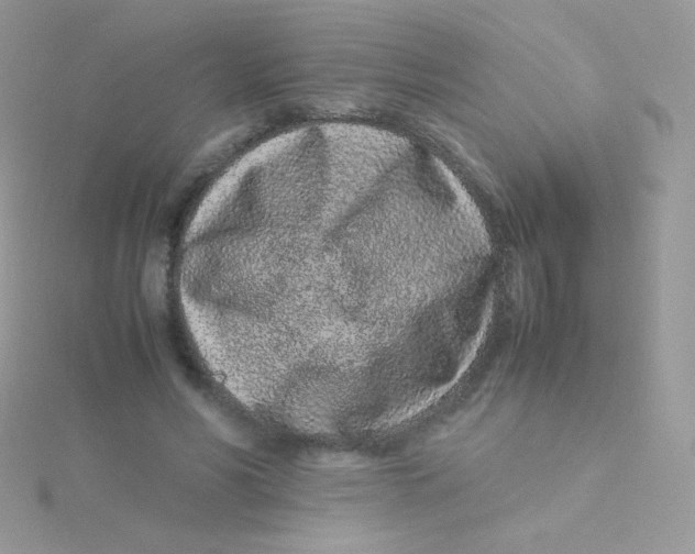 X0000115500590200911271412