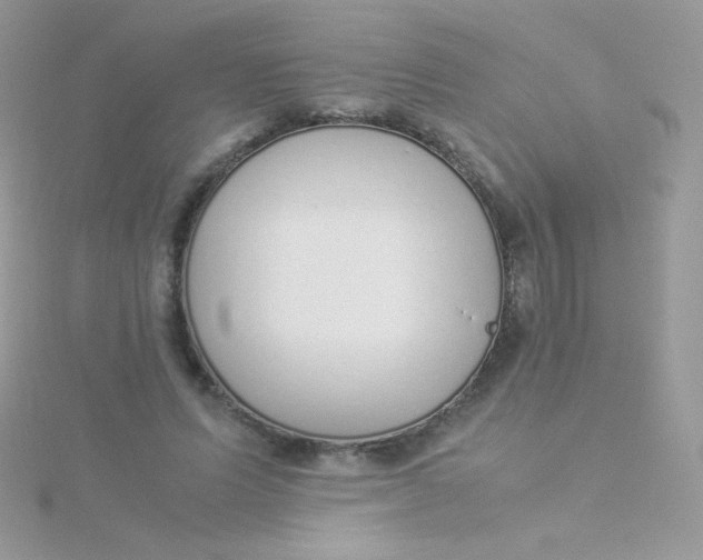 X0000115500591200911271412