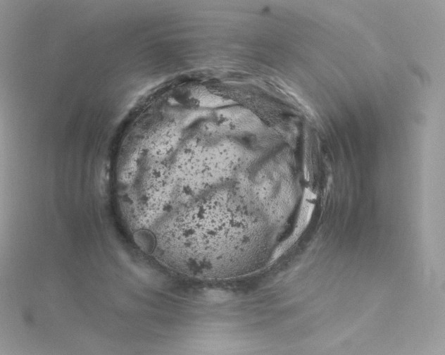 X0000115500592200911271412