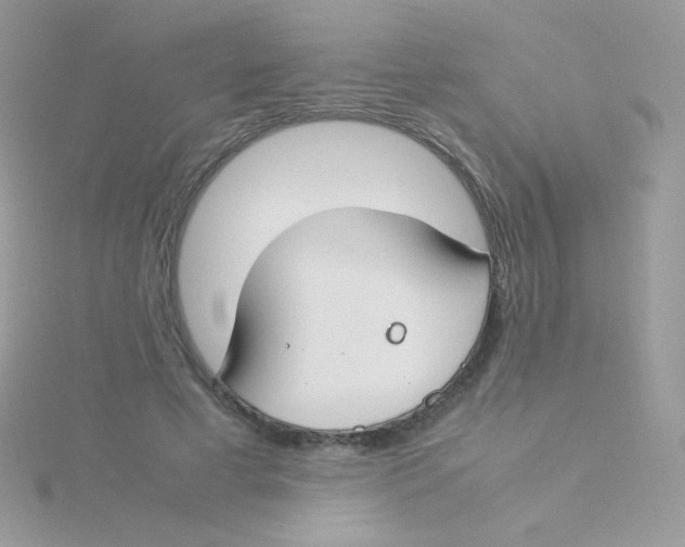 X0000115500593200911271412