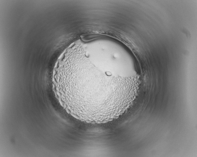 X0000115500594200911271412