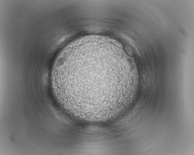 X0000115500596200911271412