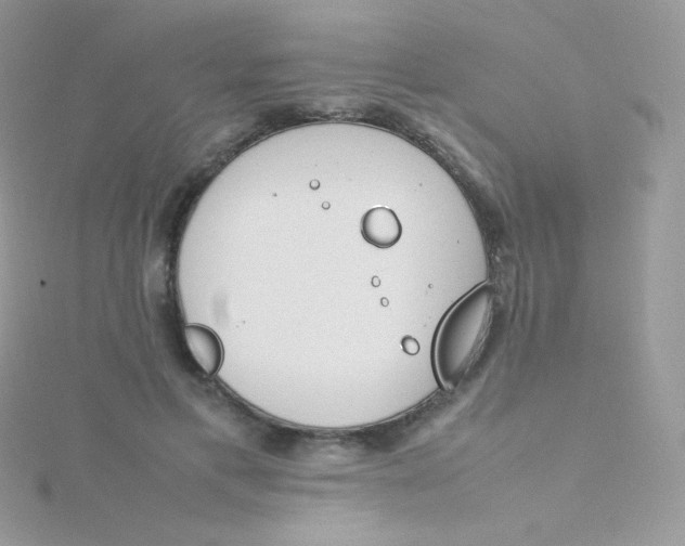 X0000115500597200911271412