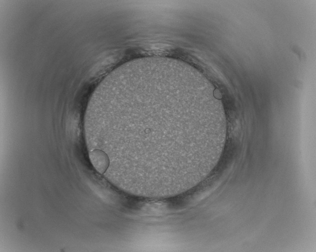 X0000115500599200911271411