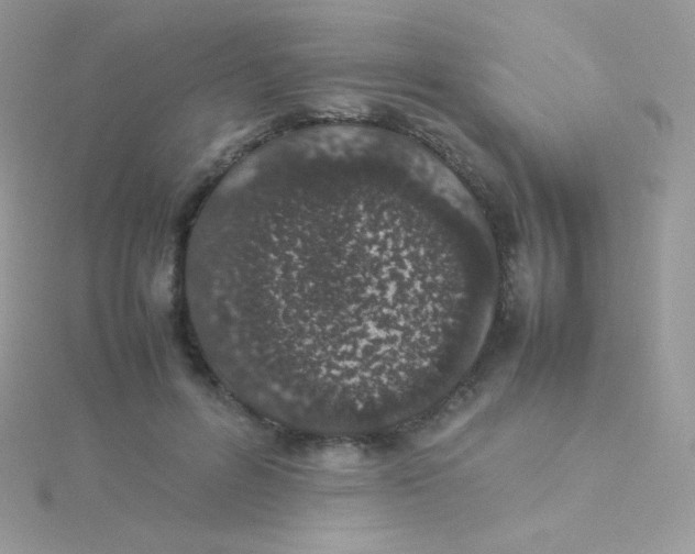 X0000115500600200911271411