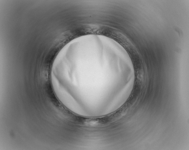 X0000115500602200911271411