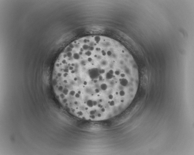 X0000115500604200911271411