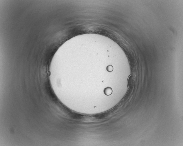 X0000115500605200911271411