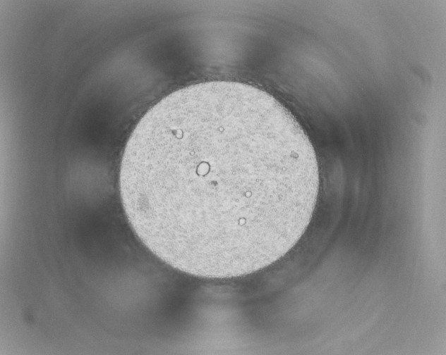 X0000115500606200911271411