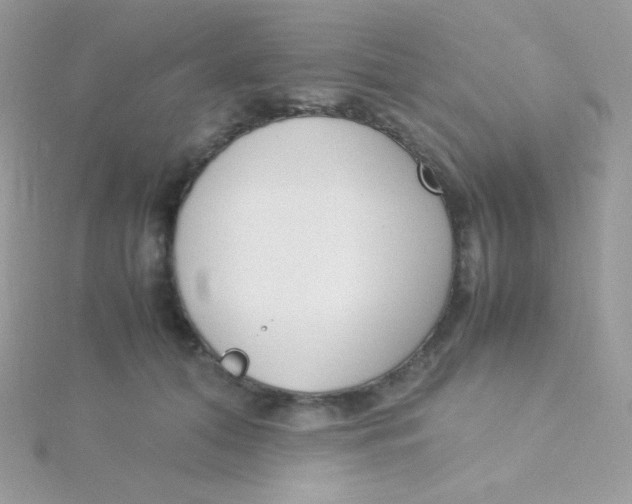 X0000115500608200911271411