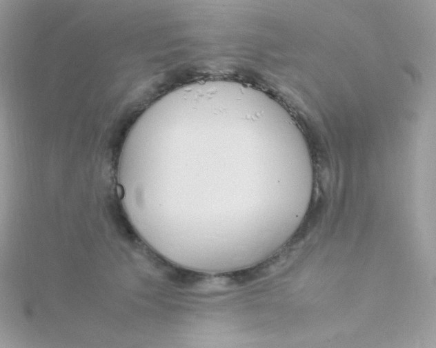 X0000115500609200911271411