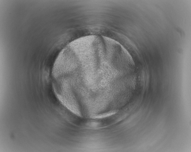 X0000115500610200911271411