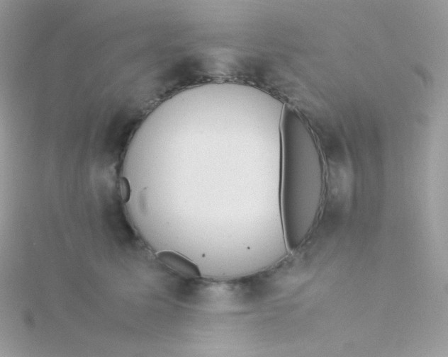 X0000115500611200911271411