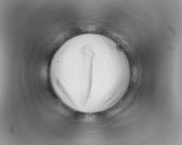 X0000115500612200911271411