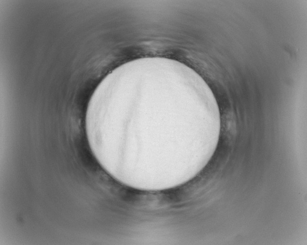 X0000115500615200911271411