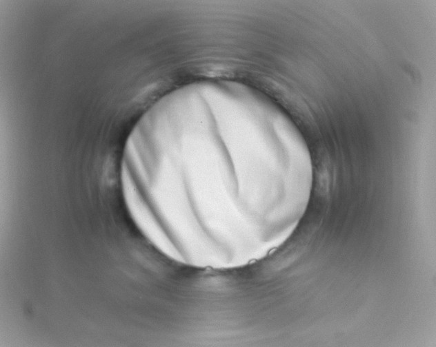 X0000115500620200911271411