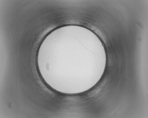 X0000115500625200911271411