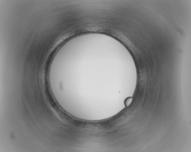 X0000115500626200911271411