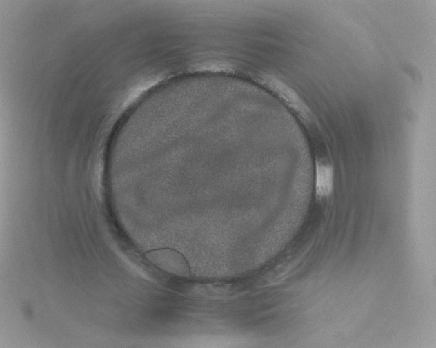 X0000115500627200911271411