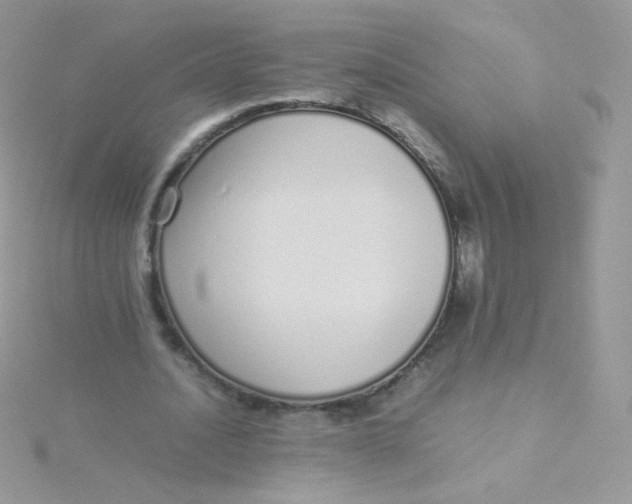 X0000115500628200911271411