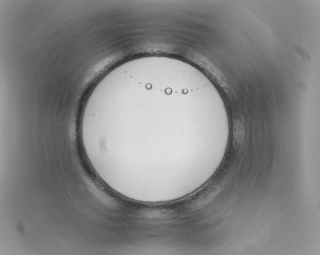 X0000115500629200911271411