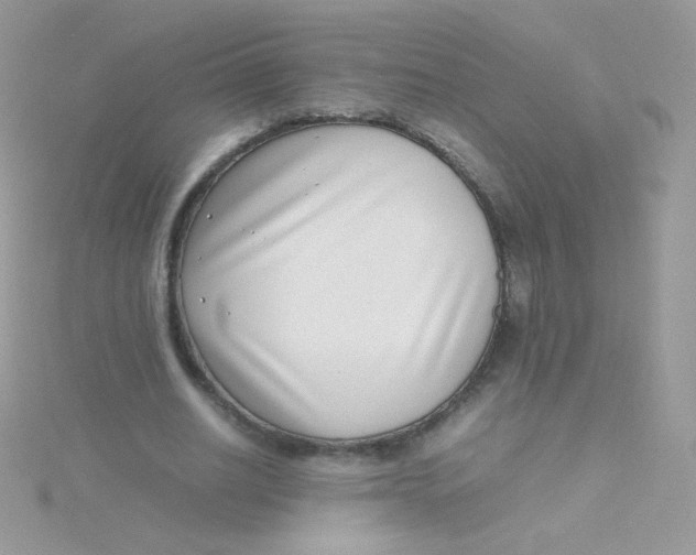 X0000115500630200911271411