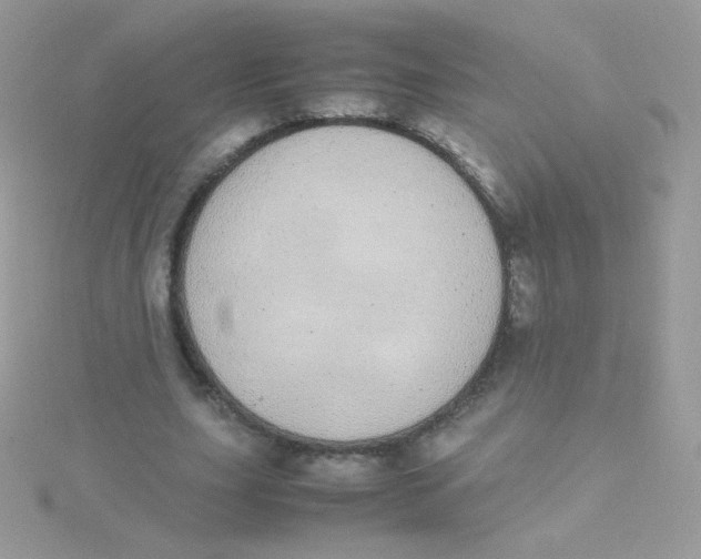 X0000115500631200911271411