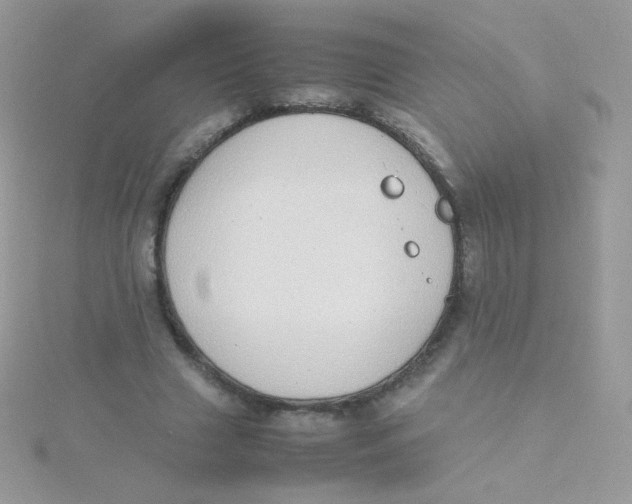 X0000115500633200911271411