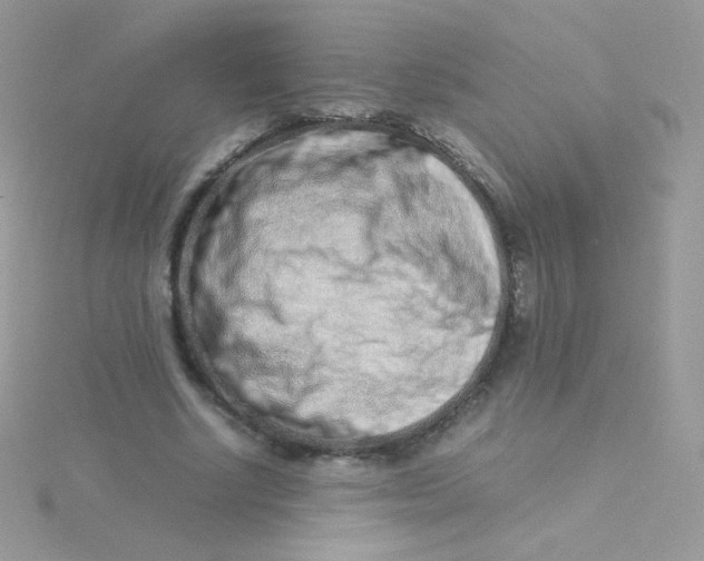 X0000115500634200911271411